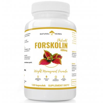 Forskolin 400 mg Pokrzywa Indyjska Metabolizm Kontrola Apetytu 120 kapsułek